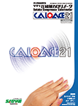 CALOACE21