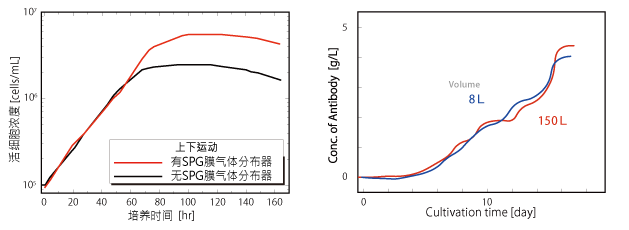 培养案例