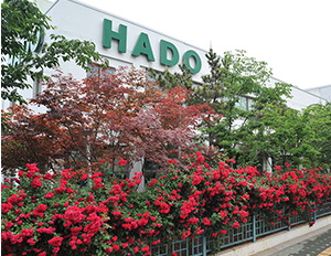 Hado Co.,Ltd.