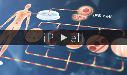 3D floating iPS cell differentiation induction BioReactor 