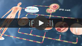 3D floating iPS cell differentiation induction BioReactor 